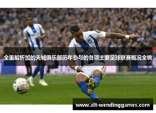 全面解析加的夫城俱乐部历年参与的各项主要足球联赛概况全貌