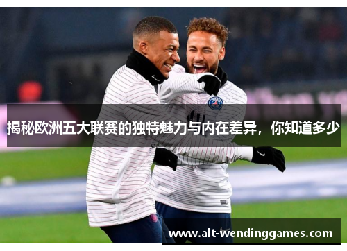 揭秘欧洲五大联赛的独特魅力与内在差异，你知道多少